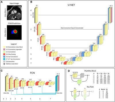 Multilevel comparison of deep learning models for function quantification in cardiovascular magnetic resonance: On the redundancy of architectural variations